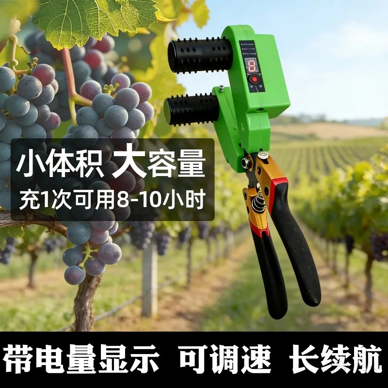 Elektrikli Üzüm Çiçeği ve Meyv - Smart Garden Tools incelemesi ve fiyatı