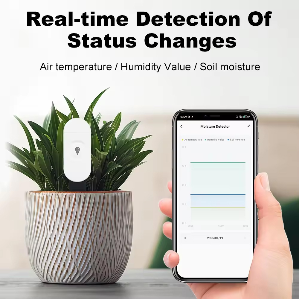 Tuya Zigbee Sıcaklık Nem Dedek - Smart Soil Sensor incelemesi ve fiyatı