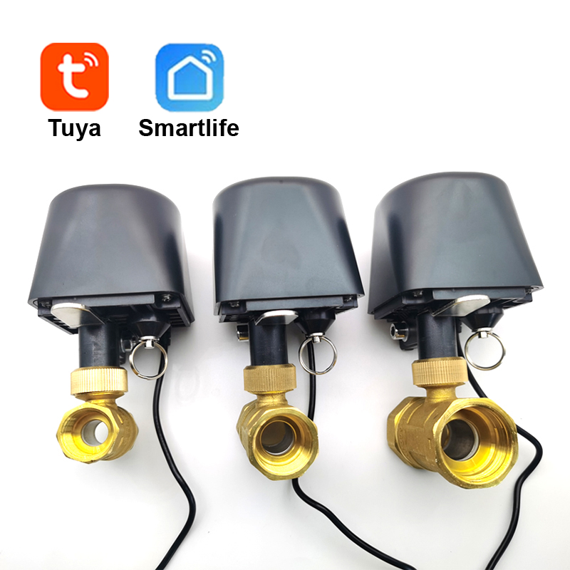 Tuya WiFi veya Zigbee Su Vanas - Smart Garden Valve incelemesi ve fiyatı